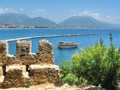 turkey