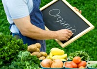 Чем отличаются органические продукты питания от остальных 