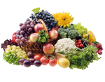 vitamini