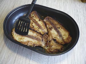 fish2