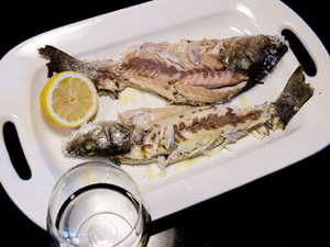 man-fish