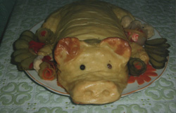 pig