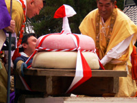 yapan